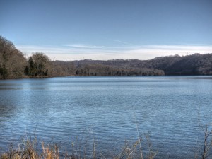 Looking up stream on Melton Hill Lake near Oak Ridge on sunny day