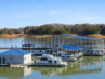 douglas lake marina