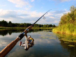 fishing at douglas lake
